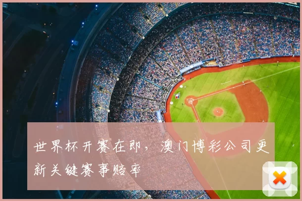世界杯开赛在即,澳门博彩公司更新关键赛事赔率