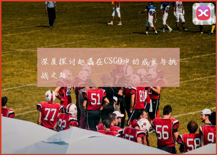 深度探讨赵磊在CSGO中的成长与挑战之路