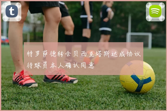特罗萨德转会贝西克塔斯达成协议待球员本人确认同意