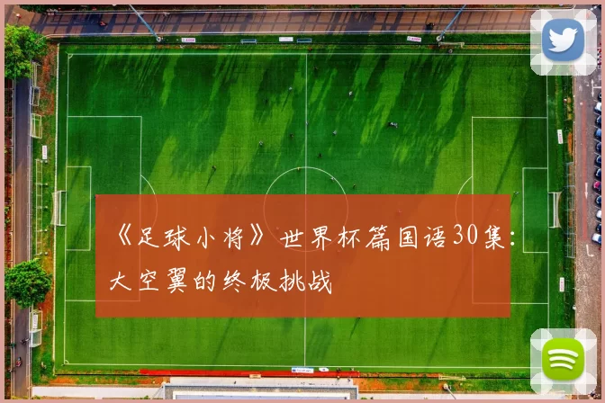 《足球小将》世界杯篇国语30集:大空翼的终极挑战