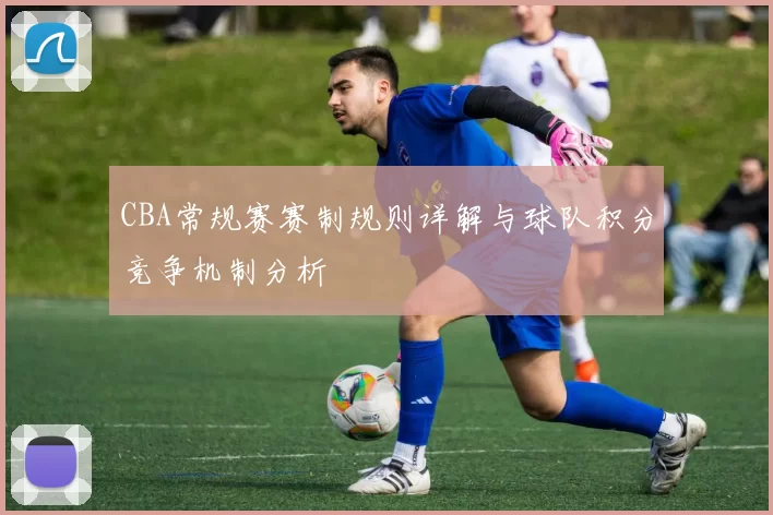 CBA常规赛赛制规则详解与球队积分竞争机制分析