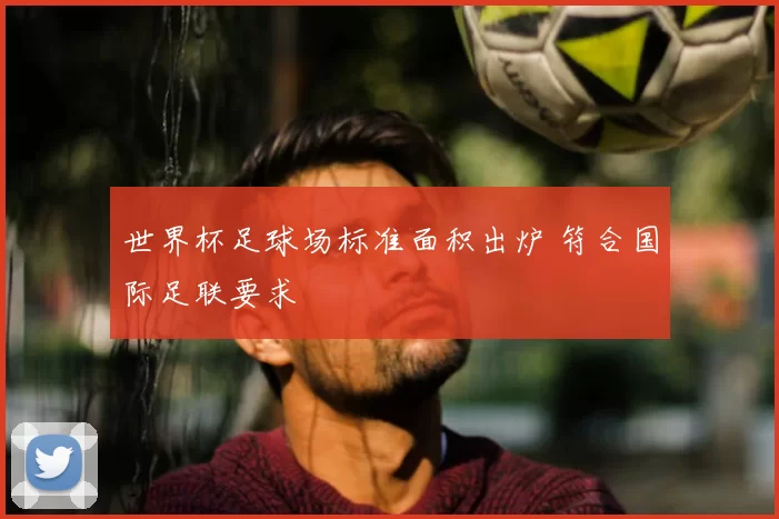 世界杯足球场标准面积出炉 符合国际足联要求