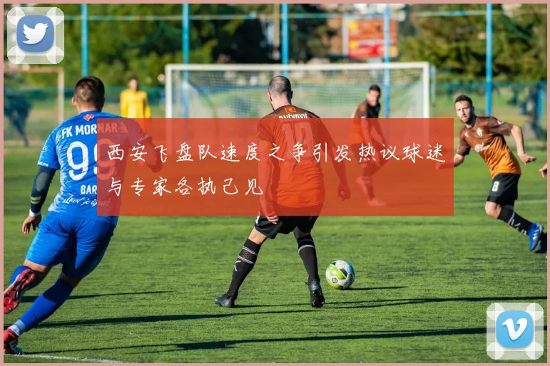 西安飞盘队速度之争引发热议球迷与专家各执己见