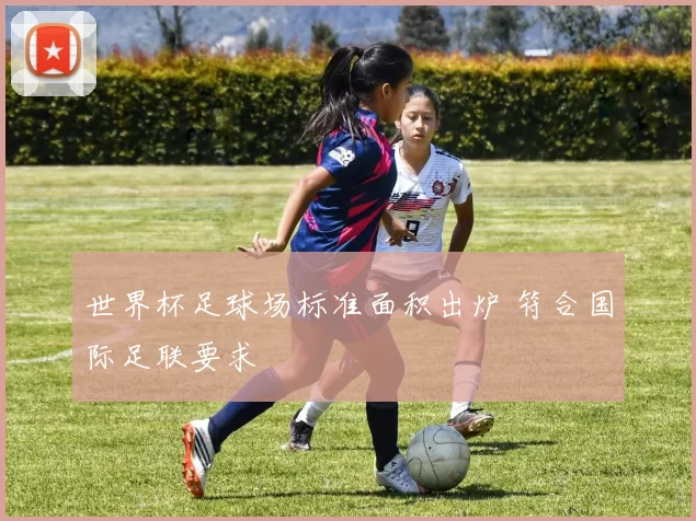 世界杯足球场标准面积出炉 符合国际足联要求