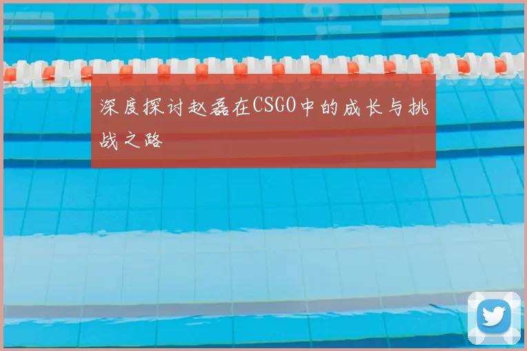 深度探讨赵磊在CSGO中的成长与挑战之路