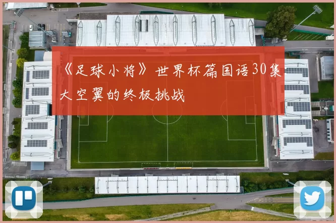 《足球小将》世界杯篇国语30集:大空翼的终极挑战
