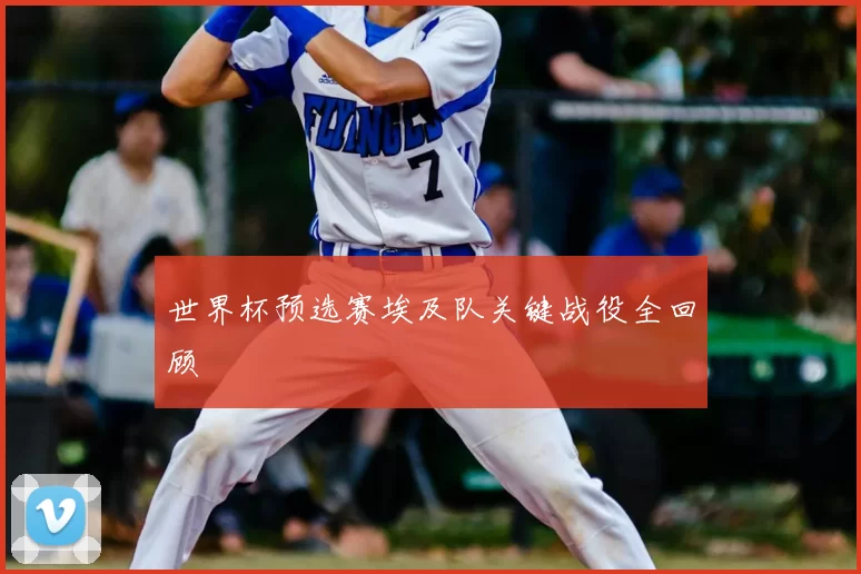 世界杯预选赛埃及队关键战役全回顾